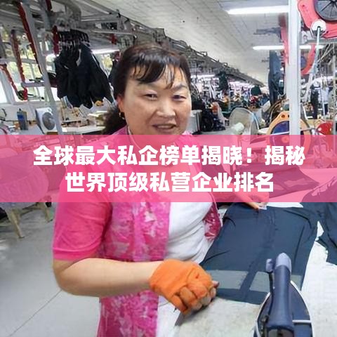 全球最大私企榜單揭曉!揭秘世界頂級私營企業(yè)排名