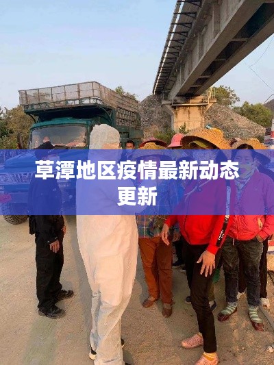 草潭地區疫情最新動態更新