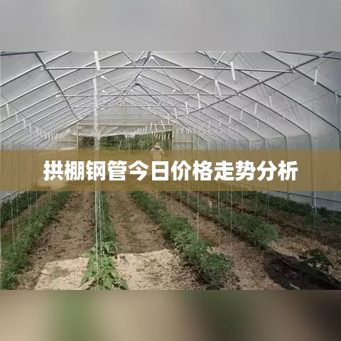 拱棚鋼管今日價格走勢分析