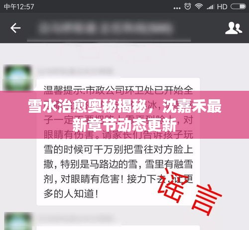 雪水治愈奧秘揭秘,沈嘉禾最新章節動態更新