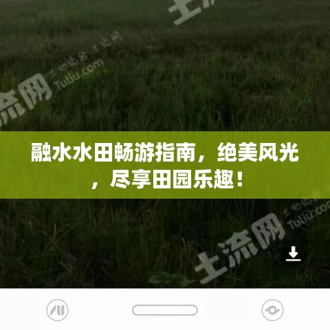 融水水田暢游指南,絕美風光,盡享田園樂趣!