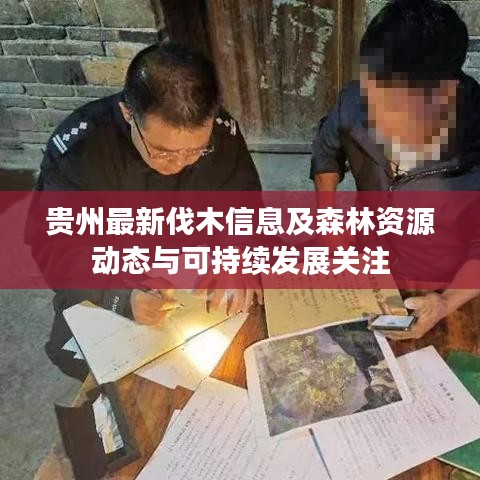貴州最新伐木信息及森林資源動態與可持續發展關注