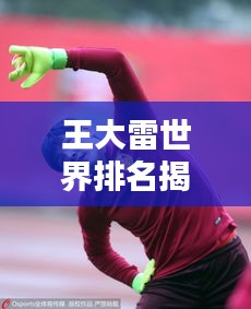 王大雷世界排名揭秘，中國足球的榮耀瞬間