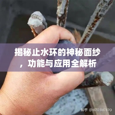 揭秘止水環的神秘面紗,功能與應用全解析