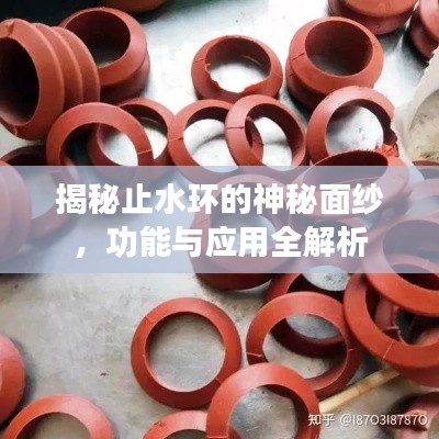 揭秘止水環(huán)的神秘面紗,功能與應(yīng)用全解析