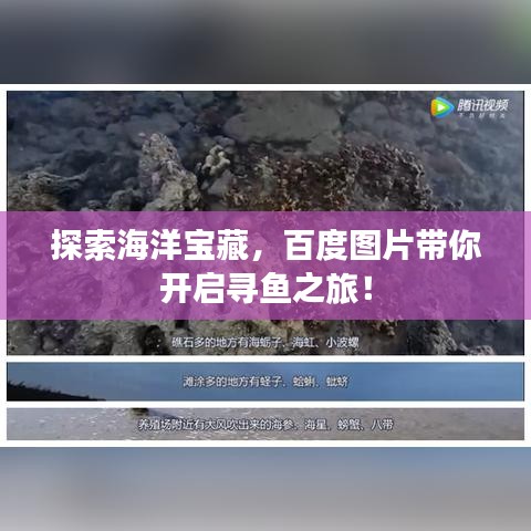 探索海洋寶藏,百度圖片帶你開啟尋魚之旅!