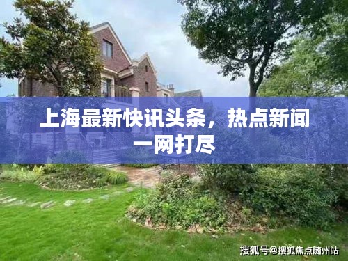 上海最新快訊頭條,熱點新聞一網打盡