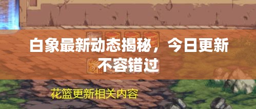 白象最新動態(tài)揭秘,今日更新不容錯過