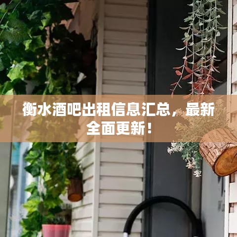 衡水酒吧出租信息匯總,最新全面更新!