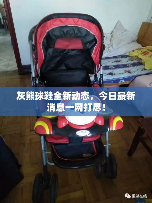 灰熊球鞋全新動態,今日最新消息一網打盡!