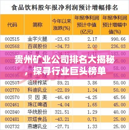 貴州礦業公司排名大揭秘，探尋行業巨頭榜單