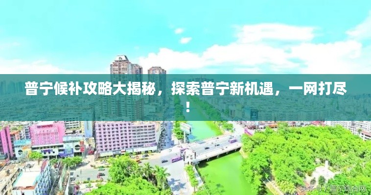 普寧候補攻略大揭秘,探索普寧新機遇,一網打盡!