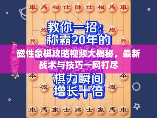 磁性象棋攻略視頻大揭秘,最新戰(zhàn)術(shù)與技巧一網(wǎng)打盡