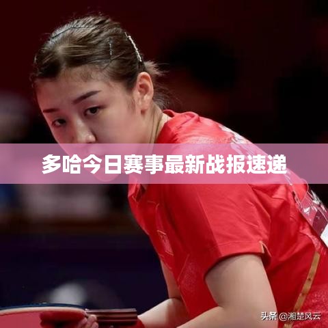 飛來(lái)飛去 第3頁(yè)