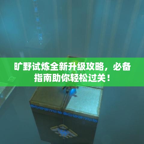 曠野試煉全新升級攻略,必備指南助你輕松過關!