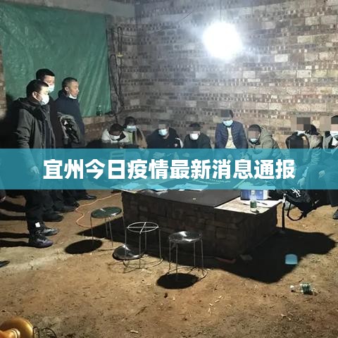 宜州今日疫情最新消息通報(bào)