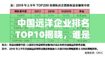 中國遠(yuǎn)洋企業(yè)排名TOP10揭曉,誰是行業(yè)巨頭?