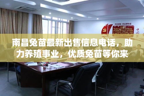 南昌兔苗最新出售信息電話,助力養殖事業,優質兔苗等你來選!