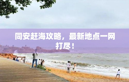 同安趕海攻略，最新地點一網打盡！