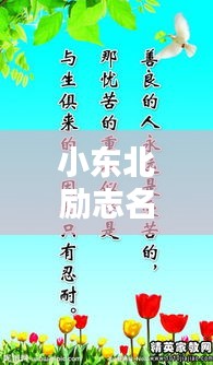 小東北勵志名言,激發無限潛能的短句