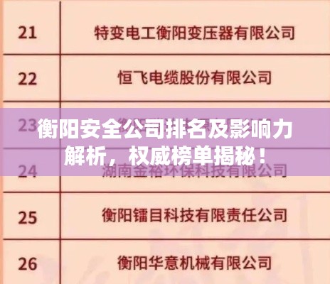 衡陽安全公司排名及影響力解析,權威榜單揭秘!