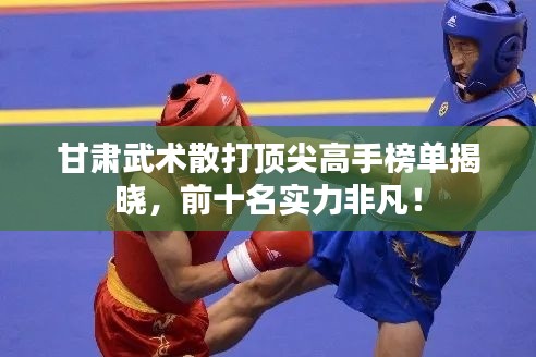 甘肅武術散打頂尖高手榜單揭曉，前十名實力非凡！