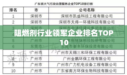 阻燃劑行業(yè)領軍企業(yè)排名TOP10