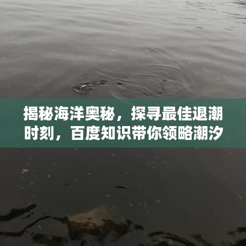 揭秘海洋奧秘，探尋最佳退潮時刻，百度知識帶你領略潮汐魅力