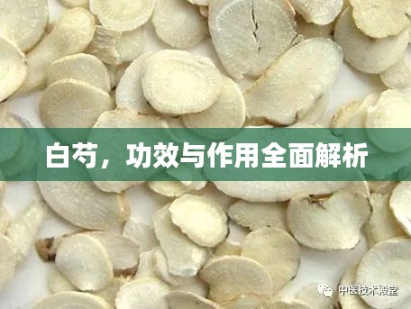白芍,功效與作用全面解析