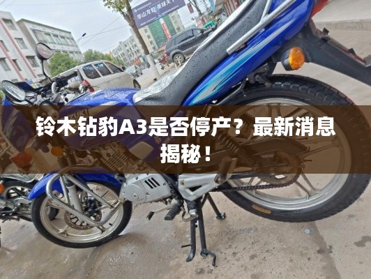 鈴木鉆豹A3是否停產(chǎn)？最新消息揭秘！