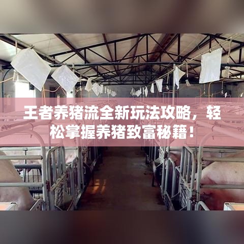 王者養(yǎng)豬流全新玩法攻略,輕松掌握養(yǎng)豬致富秘籍!