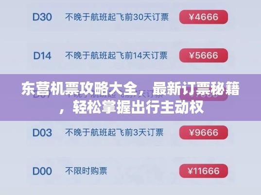 東營機票攻略大全,最新訂票秘籍,輕松掌握出行主動權