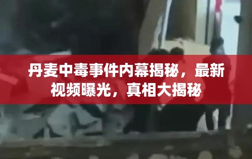 丹麥中毒事件內(nèi)幕揭秘,最新視頻曝光,真相大揭秘