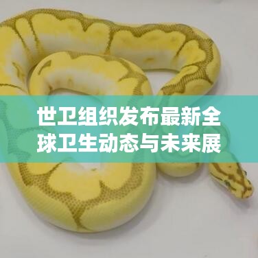 世衛組織發布最新全球衛生動態與未來展望報告,全球衛生趨勢及應對策略揭秘