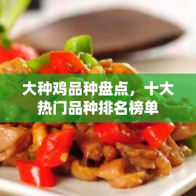 大種雞品種盤點,十大熱門品種排名榜單