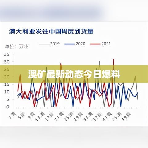 澳礦最新動態今日爆料