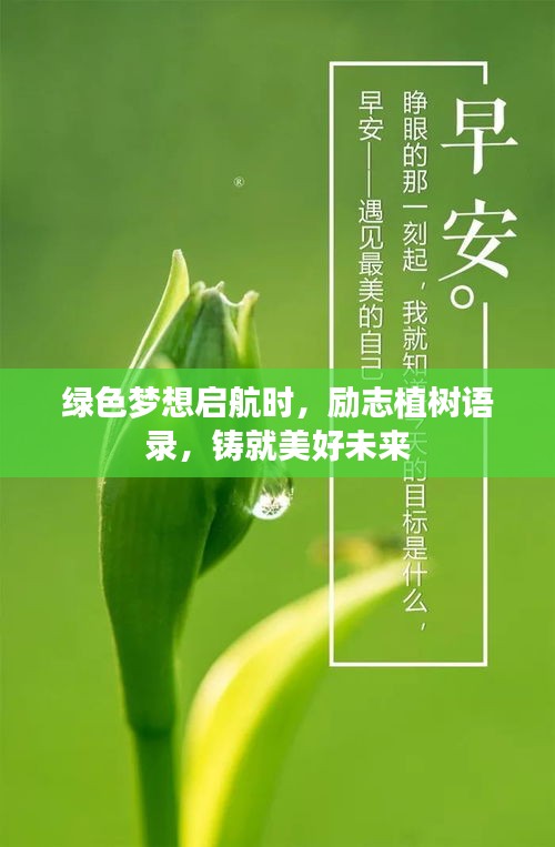 綠色夢想啟航時，勵志植樹語錄，鑄就美好未來