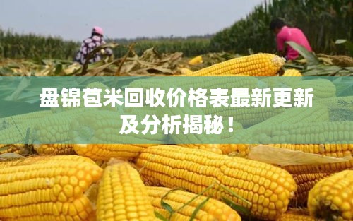 盤錦苞米回收價(jià)格表最新更新及分析揭秘!