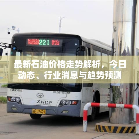 最新石油價格走勢解析,今日動態、行業消息與趨勢預測