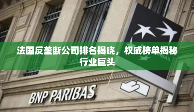 法國(guó)反壟斷公司排名揭曉,權(quán)威榜單揭秘行業(yè)巨頭