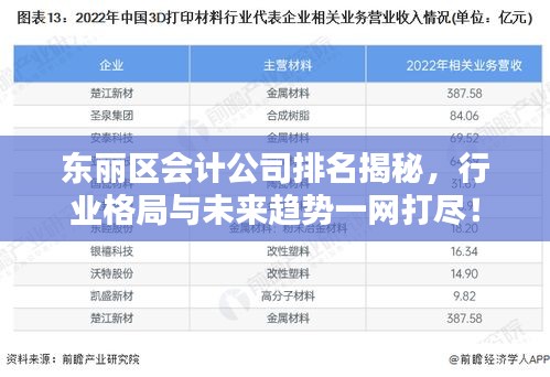 東麗區會計公司排名揭秘,行業格局與未來趨勢一網打盡!