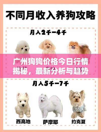 廣州狗狗價格今日行情揭秘，最新分析與趨勢預(yù)測