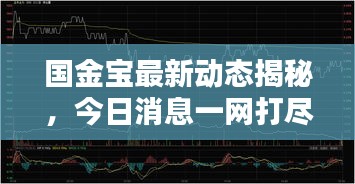 國金寶最新動態揭秘,今日消息一網打盡