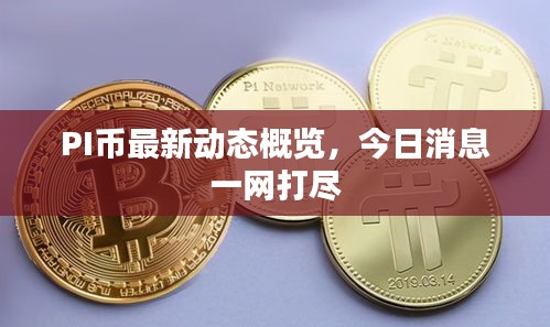 PI幣最新動態(tài)概覽,今日消息一網(wǎng)打盡