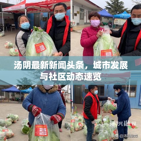 湯陰最新新聞頭條,城市發展與社區動態速覽