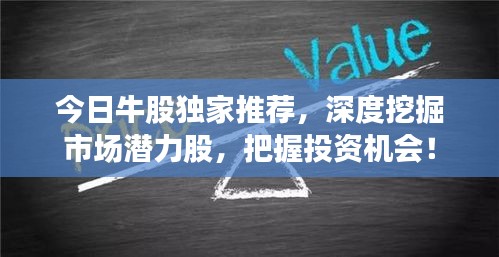 今日牛股獨家推薦,深度挖掘市場潛力股,把握投資機會!