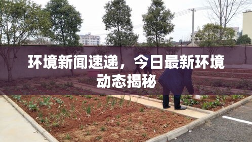 環(huán)境新聞速遞,今日最新環(huán)境動(dòng)態(tài)揭秘