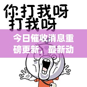 今日催收消息重磅更新,最新動態一覽