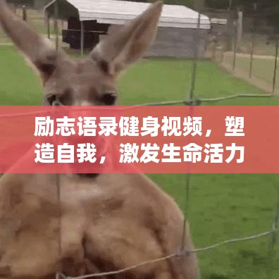 勵志語錄健身視頻,塑造自我,激發生命活力