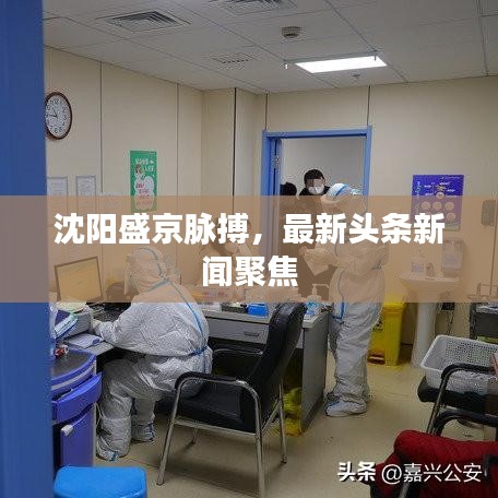 沈陽盛京脈搏，最新頭條新聞聚焦